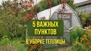 5 важных пунктов в уборке теплицы
