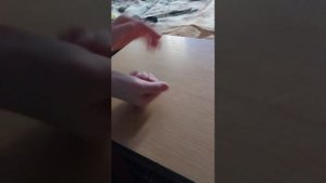 2 сезон ивк