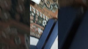 фоткаю с Рыжиком на