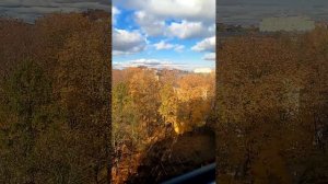 в Санкт-Петербурге чудесная погода.