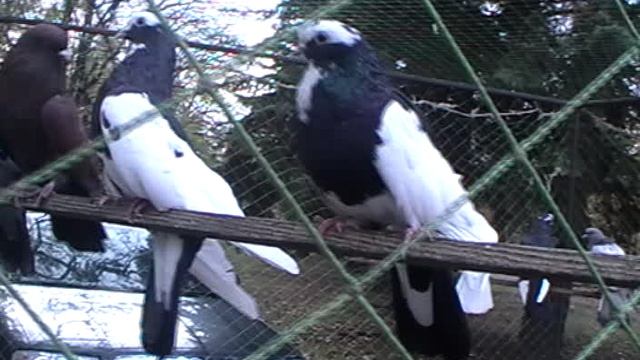 18.10.2025Г. Ярмарка в Енакиево.