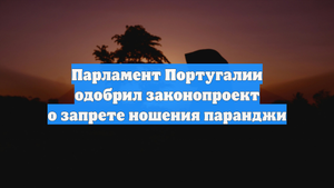 Парламент Португалии одобрил законопроект о запрете ношения паранджи