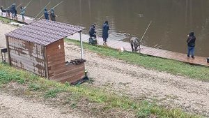 Forest Fishing 18.10.25