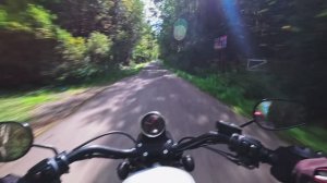 Harley Davidson Sportster 1200 и Kawasaki Versys 650 в Клёново Часть 3. Поворот не туда.