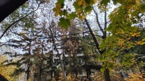 Пожар Саратов