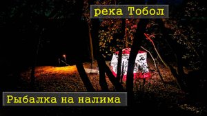 Осенняя ночная рыбалка на налима или как карась с язь не давали мне ловить налима
