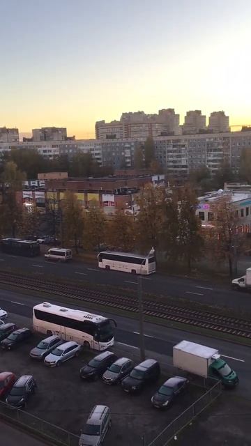 Санкт-Петербург. 18.10.2025. Утро Петербурга. Золото осени на проспекте Энгельса. Эпизод 5