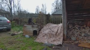 С сыном на даче
