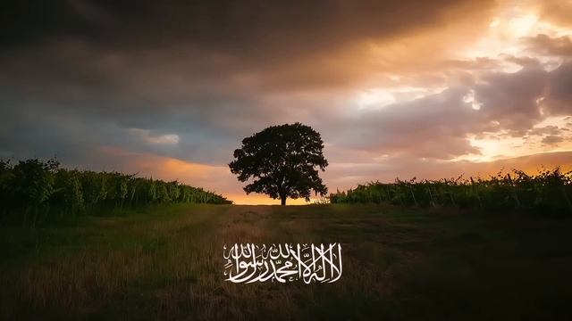 ПРАВИЛЬНОЕ ВЕРОУБЕЖДЕНИЕ | Лекция | Шейх Салих аль-Фаузан (حفظه الله تعالى) смотреть онлайн