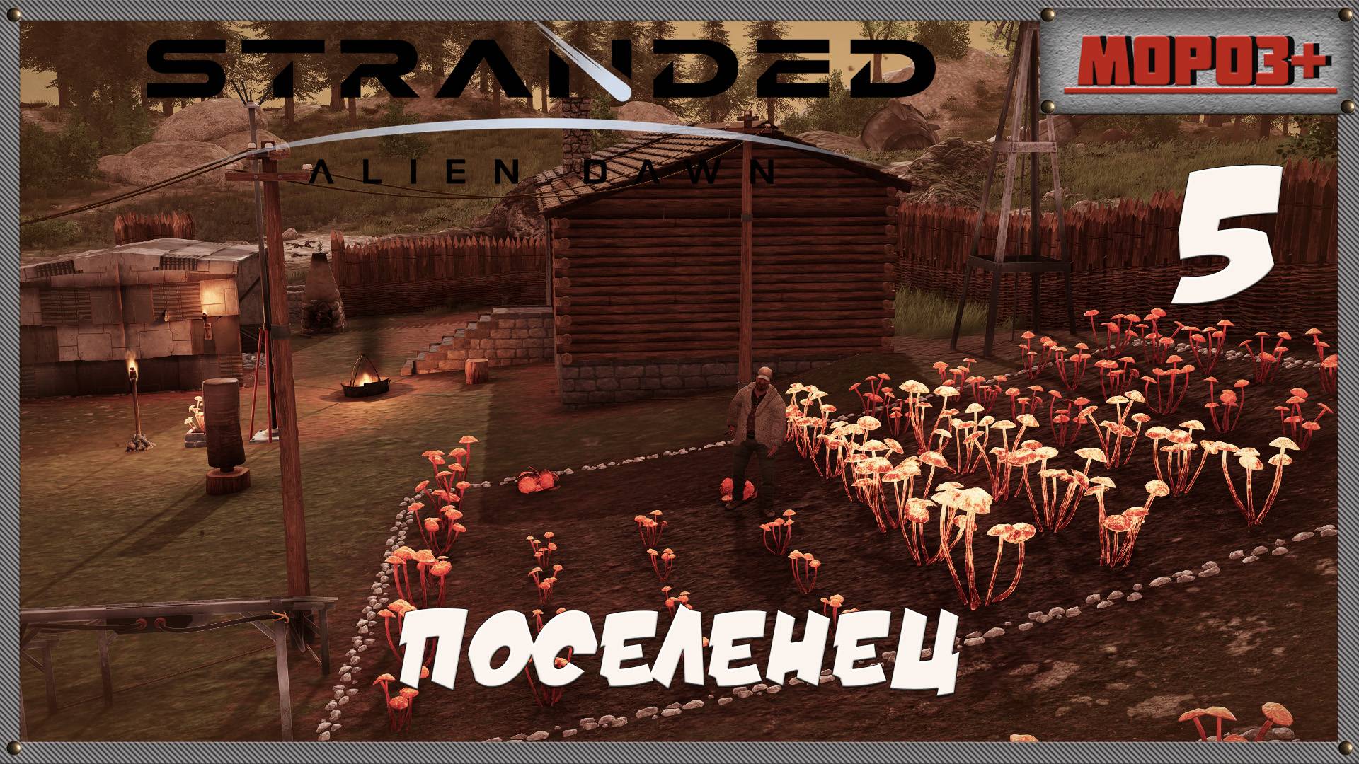 🟠Stranded: Alien Dawn🟠№5 Поселенец.