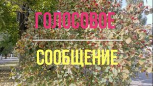 18.10.2025 эфира не будет