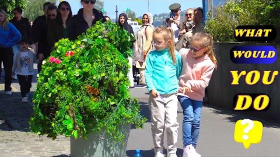 bushman ,_What Happens When Your Curiousity sets attention смотреть онлайн