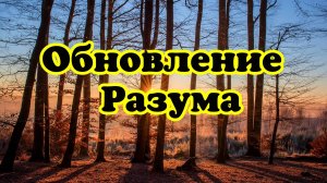 Обновление Разума. 18.10.25г.