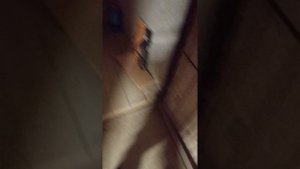 Ступино. подвал. 1 серия.