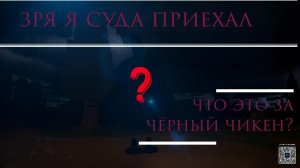 что это за ЧЁРНЫЙ чикен в моей деревне в чикен гане