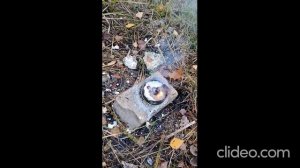 Хлорат Калия + драже Скитлс