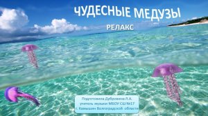 Чудесные медузы РЕЛАКС
