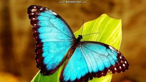 ПО ВЕРЕ ПРИНИМАЕМ СВЯТОСТЬ ГОСПОДНЮ ПРИНИМАЯ ЕГО ИСК. ЖЕРТВУ И ДЕЛАМИ ЛЮБВИ УТВЕРЖДАЕМСЯ В СВЯТОСТИ!