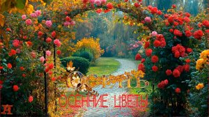 ОСЕННИЕ ЦВЕТЫ В ОКТЯБРЕ !