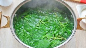 Салат из крапивы