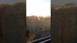 Доброе утро, Санкт-Петербург, за окном -2