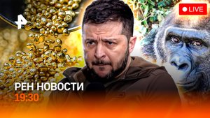 Зеленский без "Томагавков" / "Золотой" экс-премьер Грузии / Горилл забыли в зоопарке / ГЛАВНОЕ ЗА ДЕ