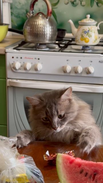 А я то думал …..