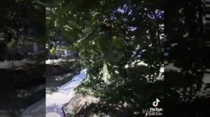 Размазало... Эзотерика...