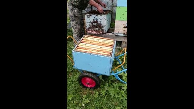 лето 2022-1 смотреть онлайн