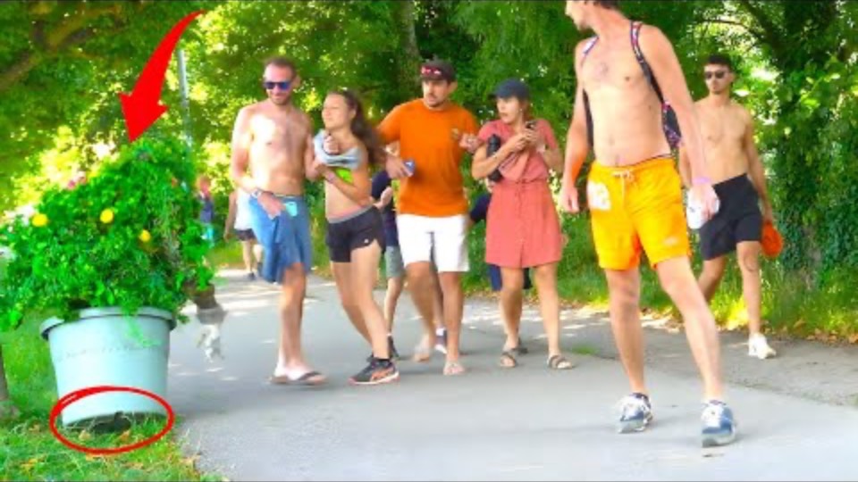 BUSHMAN PRANK 2024_ BUSHMAN BEST SUMMER REACTIONS 2024!!!