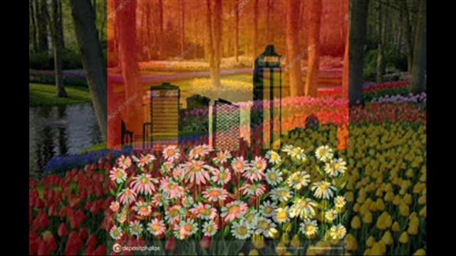 Городские цветы. Liebe Blumen der Stadt. смотреть онлайн