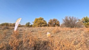 Чемпионат России по спортивному ориентированию. Волгоград. День2. 18.10.2025. Пресс КП. Трансляция.