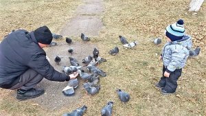 В ВЫХОДНОЙ ДЕНЬ ДОМА НЕ СИДИТСЯ.