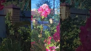 Ещё недавно август