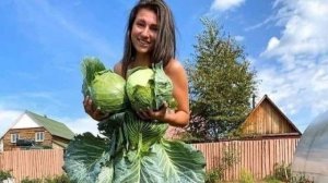 ✅ ПРИКОЛЫ RUTUBE — ЖИЗА И РЖАКА 24/7 😜