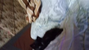 ура
