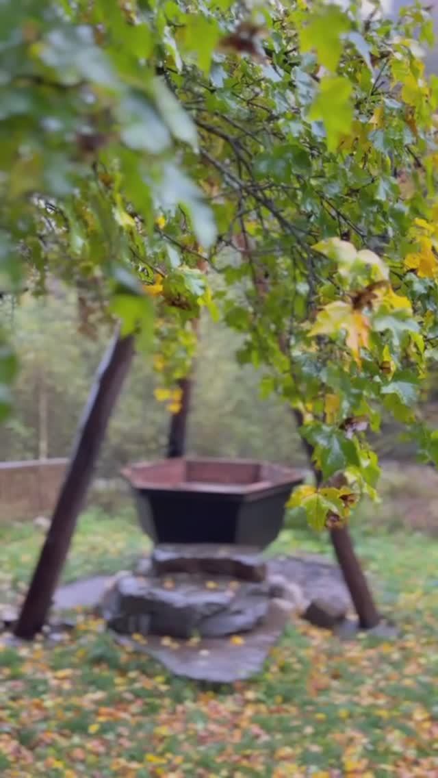 Урочище Закан. Экологический туризм. Отдых на Кавказе