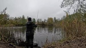 ЩУКИ НА ЖИВЦА В ОКТЯБРЕ!РЫБАЛКА НА ПОПЛАВОК 2025.РЫБАЛКА НА ЖИВЦА ОСЕНЬЮ