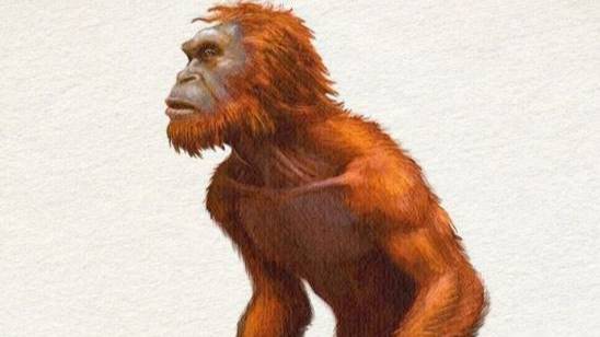 Орангпендек (Оранг Пендек) / Orang Pendek / снежный человек, троглодит / криптозоология