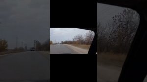 18 октября 2025 г Козы дома....