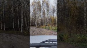 Рождествено (15.10.2025).mp4