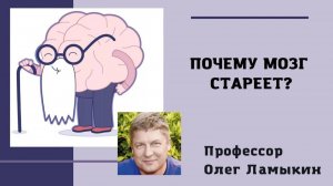 Почему стареет Мозг? Проф. Ламыкин О.Д.
