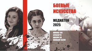 Приоритеты людей в боевых искусствах. Школа 50, Нижний Тагил, Медиатон 8 сезон, 1 Тур