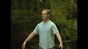 Ли Холден. Цигун для начинающих (простые упражнения).