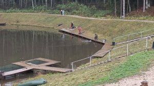 Forest Fishing 18.10.25