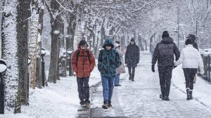 Москвичам пообещали первые морозы в середине ноября