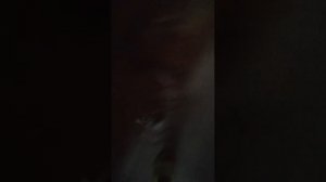 гогоь моголб