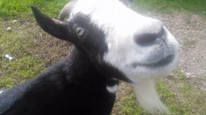 video_2025-10-18_19-53-08