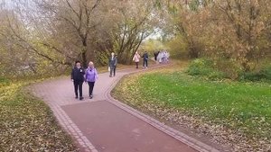ЦИГУН и ЗДОРОВАЯ ХОДЬБА в парке ЦАРИЦЫНО в ВС в 9:30 встреча Танц-Сцена, м Орехово 2-й выход