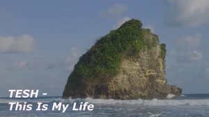 TESH - This Is My Life